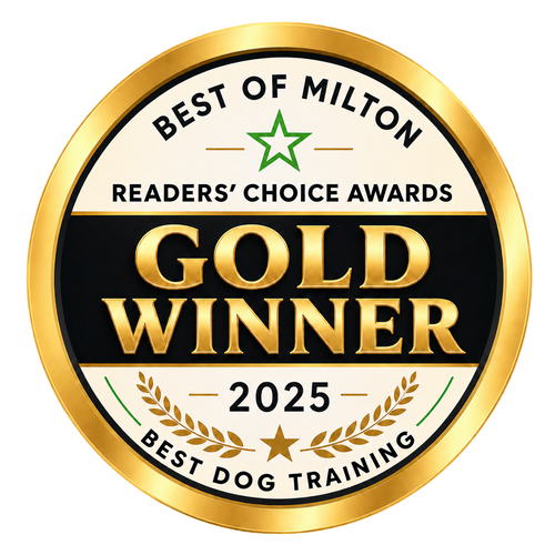 UnderDog Academy award