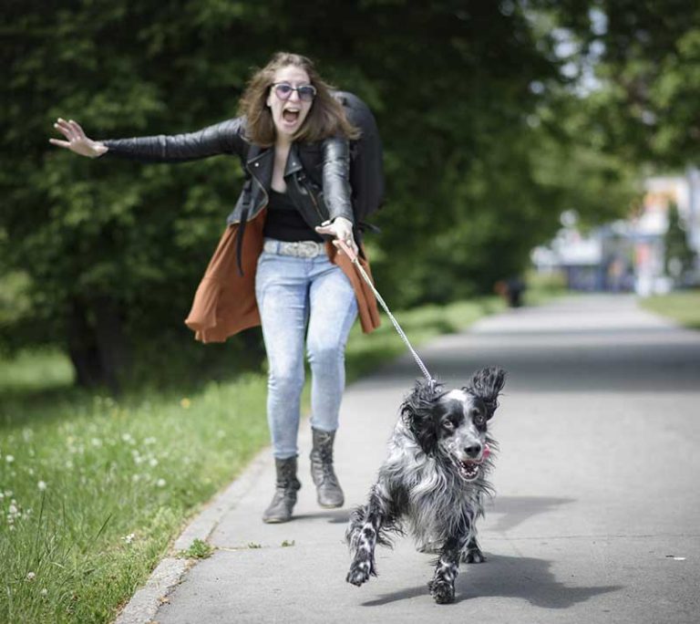 On-Leash Obedience